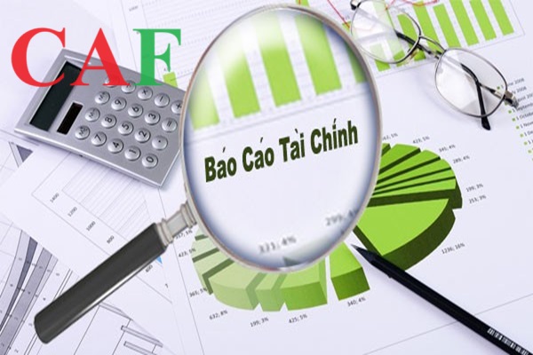 Có những loại hình kiểm toán nào hiện nay