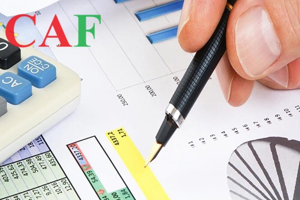 Công ty dịch vụ kiểm toán độc lập và tư vấn chuyên nghiệp tỉnh Đăk Nông