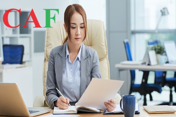 Kiểm toán và kế toán uy tín ở tỉnh Cà Mau