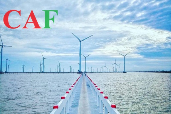 Nội dung dịch vụ kiểm toán tại Bạc Liêu do công ty CAF thực hiện