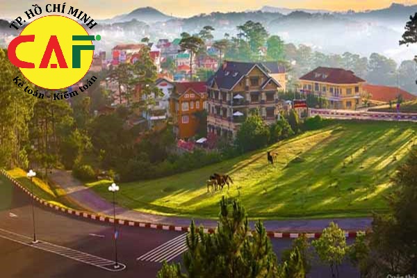 Các đối tượng bắt buộc phải kiểm toán tại thành phố Đà Lạt tỉnh Lâm Đồng