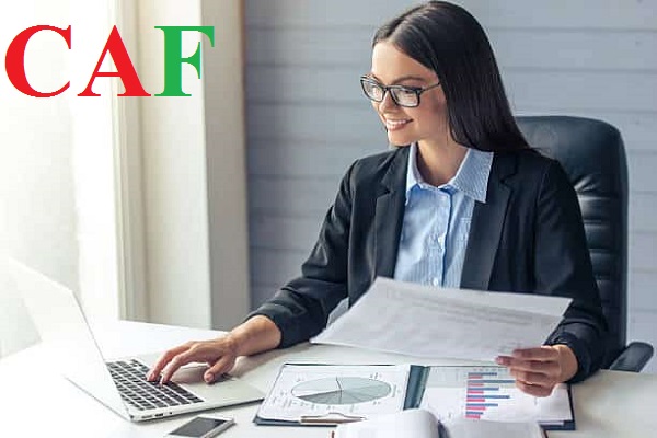 Cần chuẩn bị hồ sơ gì khi kiểm toán ở Đồng Tháp