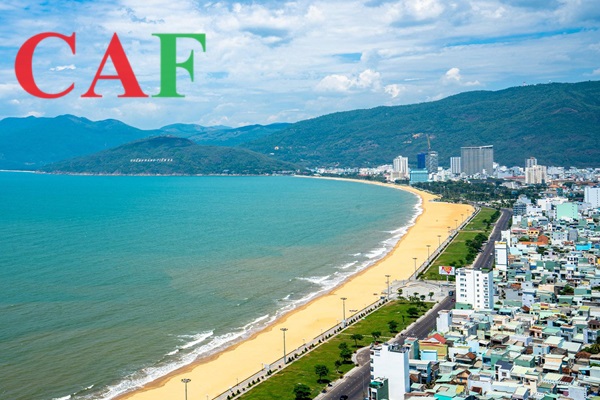 Giới thiệu Công ty kiểm toán độc lập uy tín tại Bình Định CAF