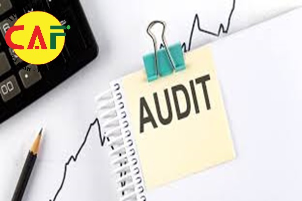 Lý do nên chọn dịch vụ kiểm toán báo cáo tài chính trọn gói uy tín của CAF tại thành phố Buôn Ma Thuột tỉnh Đăk Lăk